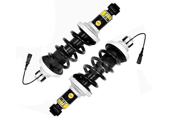 Les supports de choc arrière Assys avec ajustement électrique 2016-2021 Audi R8 4S3 4SP 2016-2021 4S0512019G