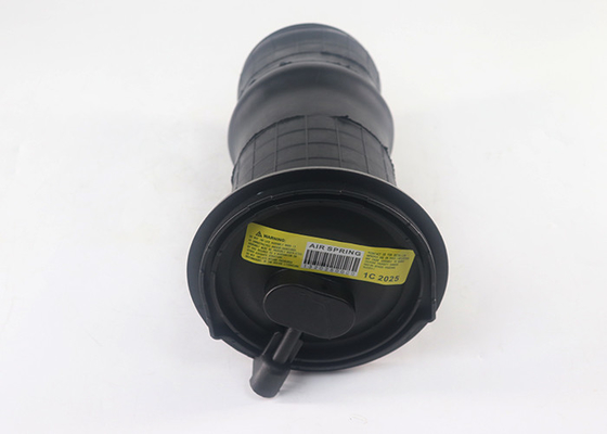 La suspension aérienne arrière à ressort pour 1995-2002 Land Rover Range Rover P38A remplace RKB101460E