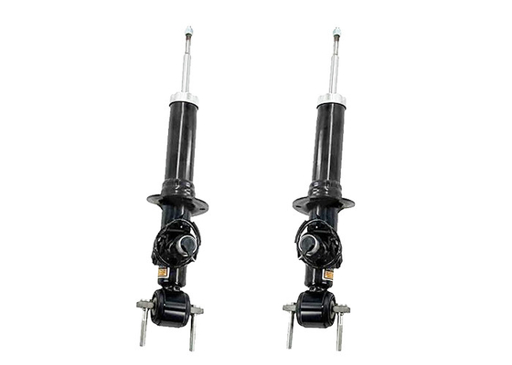 AST84827 AST84828 Pour Lincoln Navigator Ford Expedition 2018-2023 Absorbeur de chocs électriques avant.