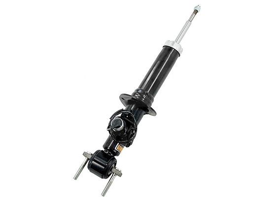 AST84827 AST84828 Pour Lincoln Navigator Ford Expedition 2018-2023 Absorbeur de chocs électriques avant.